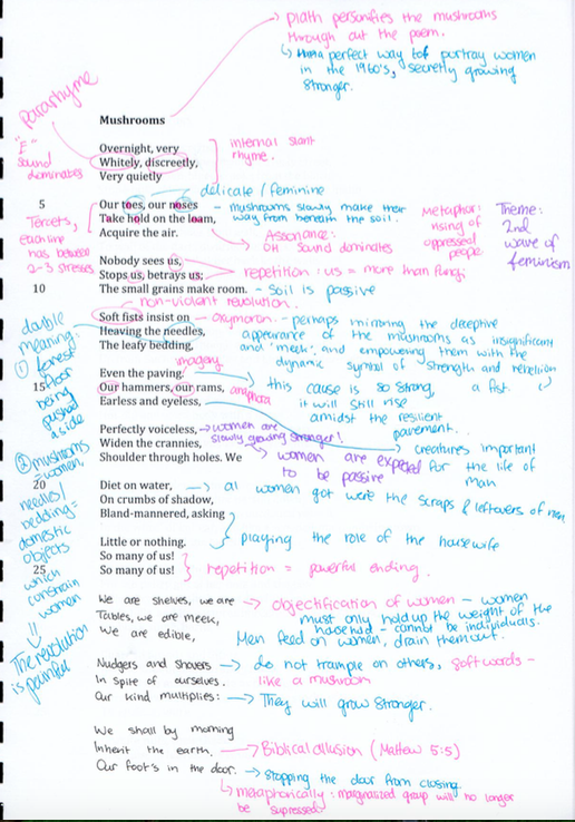 Language & Literature Blog Mushrooms by Sylvia Plath