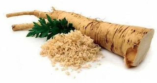 Horseradish herb