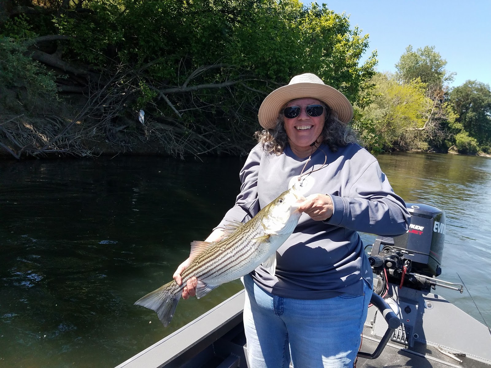 Nor Cal Fly Guides Ncfg Blog Northern California Fly Fishing Guide