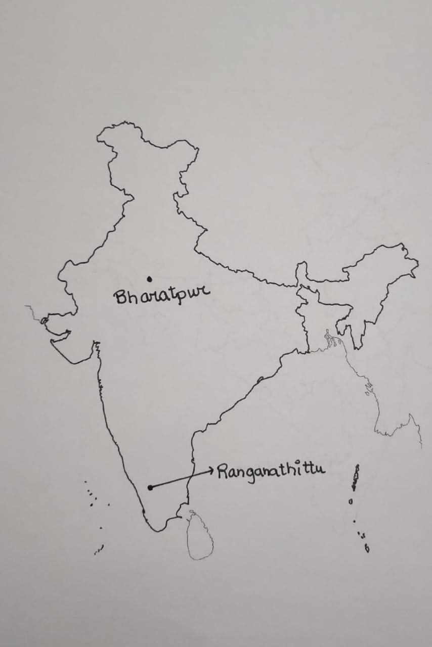 Bharatpur In India Map Class 9 Ncert Geography Chapter 5 Natural Vegetation And Wildlife (Map  Pointing) - Vs.eyeandcontacts.com