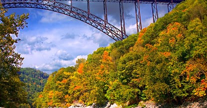 New River Gorge West Virginia Animals Fox River Park Gorge National