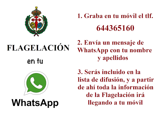 NÚMERO PARA LA DIFUSIÓN OFICIAL VÍA WHATSAPP