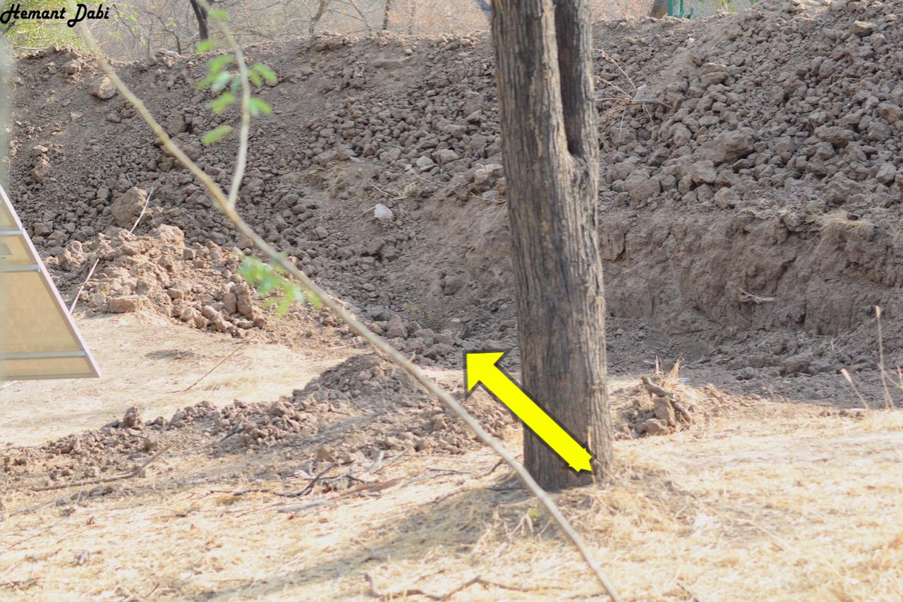 97% Fail : Can you see someone in this image ? Answer is here..