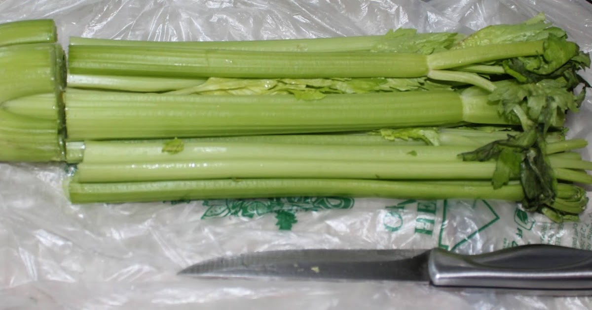 Old Timer's Habits Can you grow celery stalks from a store stalk?