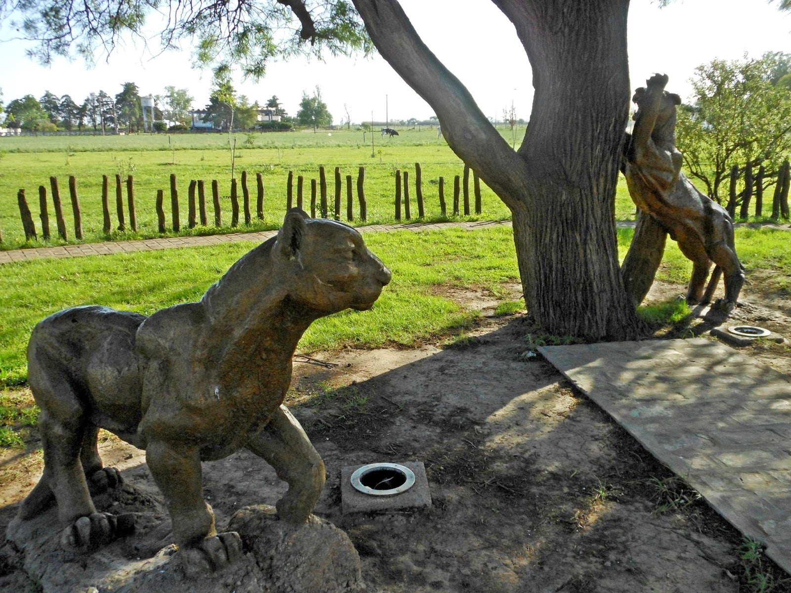 CAMINANDO LA PAMPA: Sacanta y El Arañado, Córdoba, Argentina