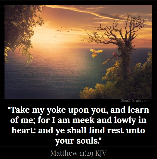 2 Timothy 2 15 Truth Verse Of The Day Matthew 11 29 KJV 2-timothy-2-15-truth-verse-of-the-day-matthew-11-29-kjv