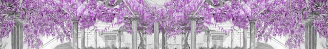  Фиолетовый лес