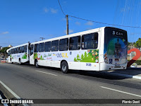 Empresas urbanas enfeitam ônibus para o Natal em Natal 22 d2c91d3bcf5d1023146a294fe5fd2e32