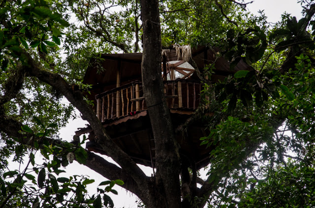 Parque Natural Chicaque