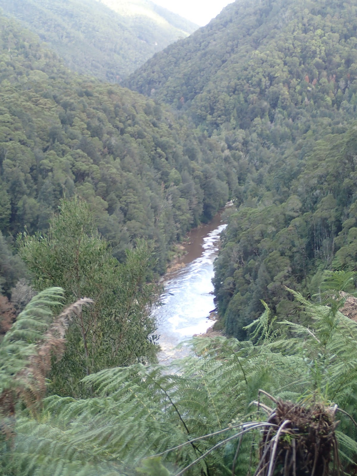 West Coast Wilderness Railway Hiking South East Tasmania