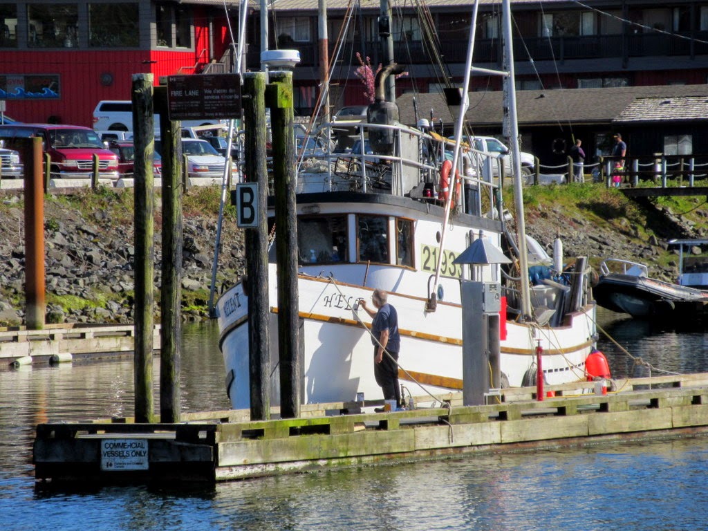 Scott's Eastside Blog Body Boarding at Long Beach and The Harbor