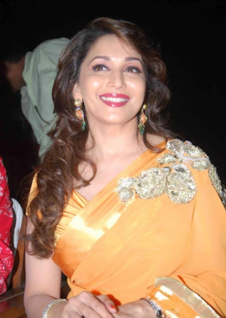 Bollywood Actress Madhuri Dixit Hot Pics In Saree 5