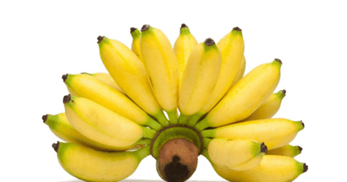 14 Mimpi buah pisang dalam togel