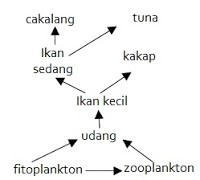 Soal Biologi 50 Pilgan Bab Ekosistem Ekologi Jawaban Muttaqin Id
