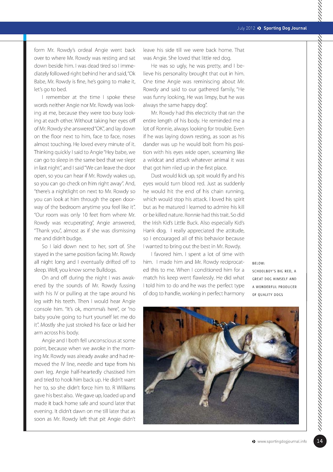 Game Dog World SPORTING DOG JOURNAL JULY/2012