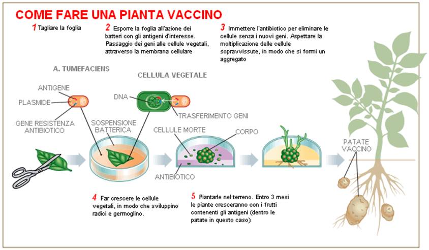 Mascheri un film per comprare la maschera nera