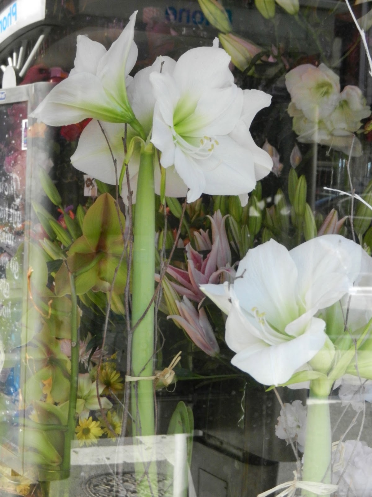 About New York A Visit to the Florist