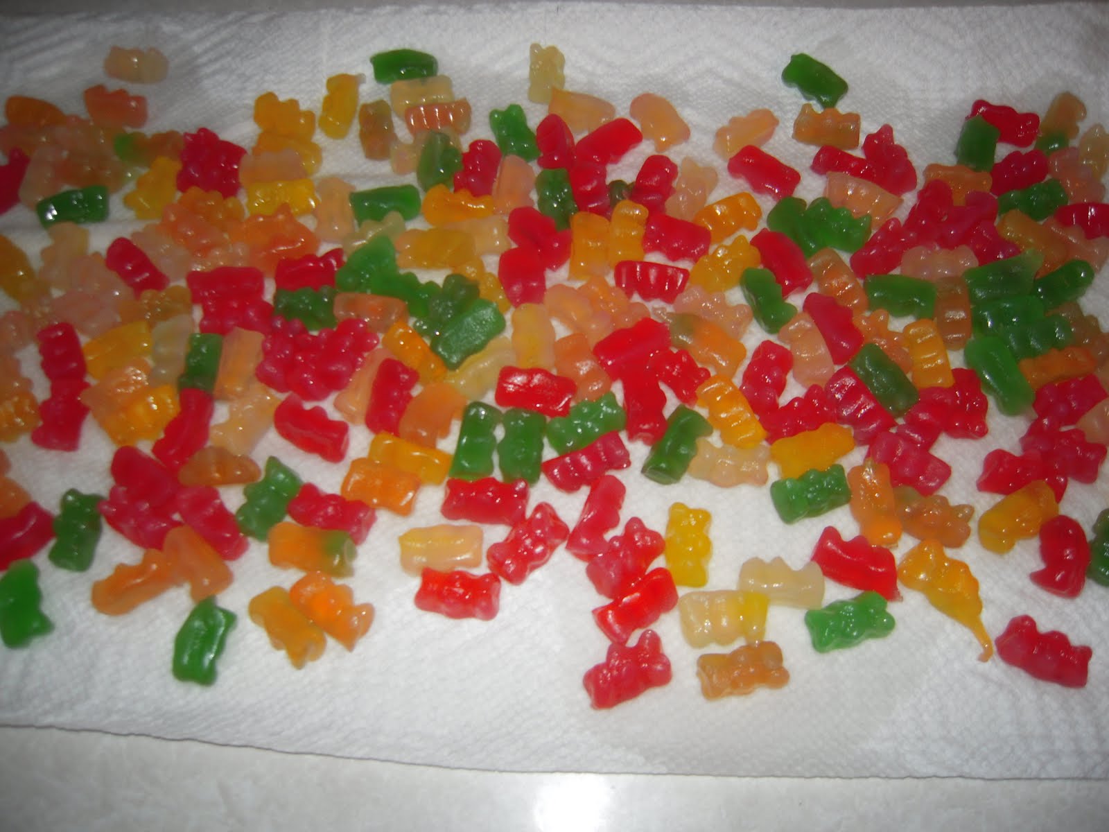 Lizzy's Home Cookin' Jello Shots.... Made from... Gummi Bears?!?!?!?!