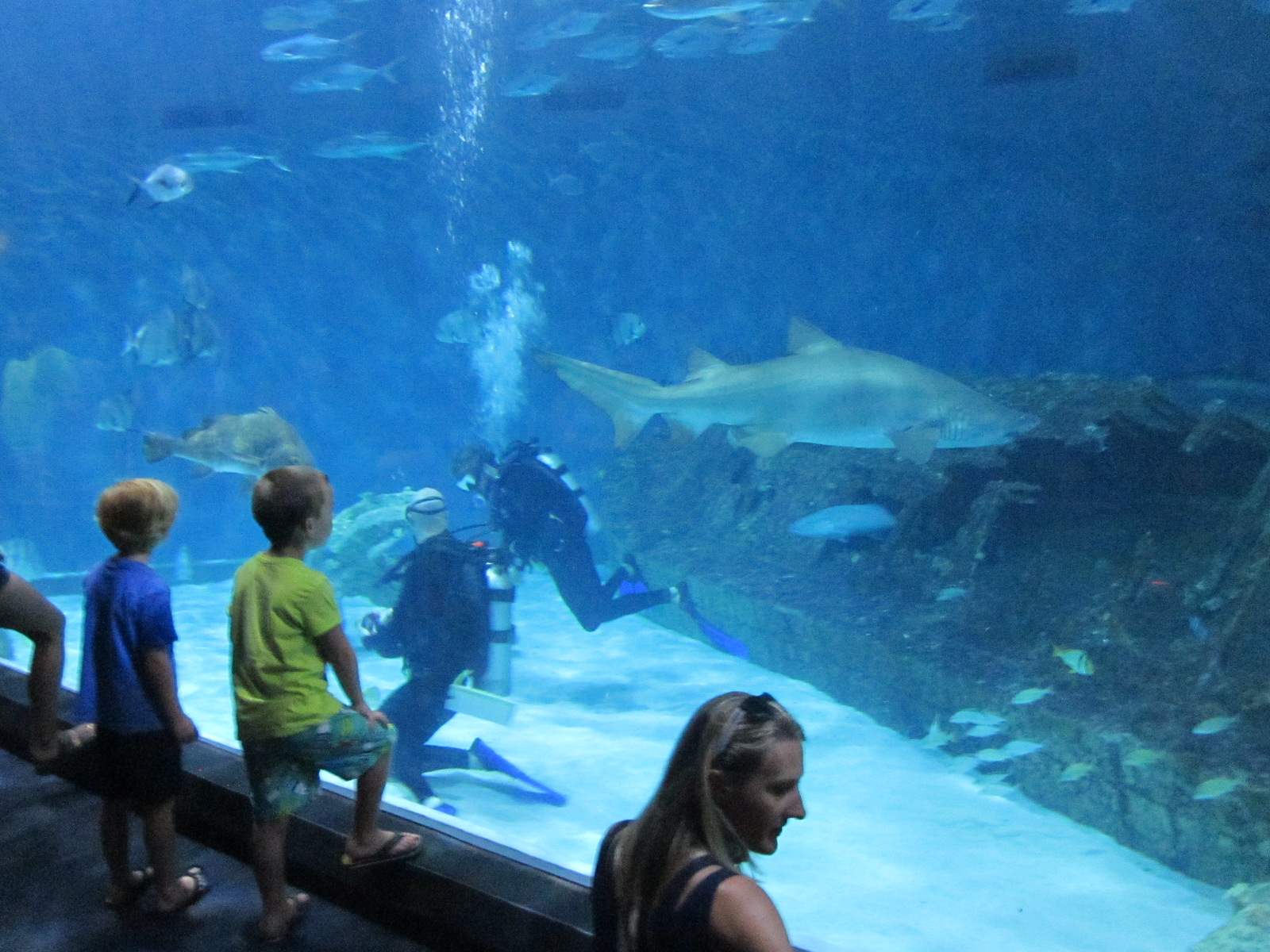 Travel NC With Kids North Carolina Aquarium on Roanoke Island Fun