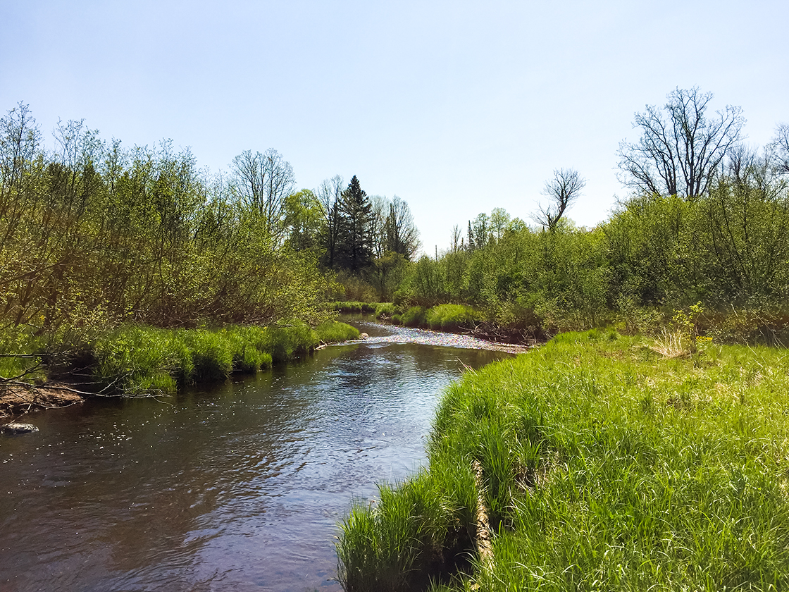 New Wood River on the Averill-Kelly Creek Wilderness Segment of the Ice Age National Trail