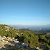 "Στοπ" στην ανεξέλεγκτη κοπή δέντρων από το βουνό "Βαλαωρίτης" βάζουν ο Δήμος Ζηρού και η Τοπική Κοινότητα Κρανιάς