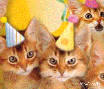 Featured image of post Happy Birthday Cats Gif This is the unique collection of birthday cat memes birthday cat images and birthday cat gif