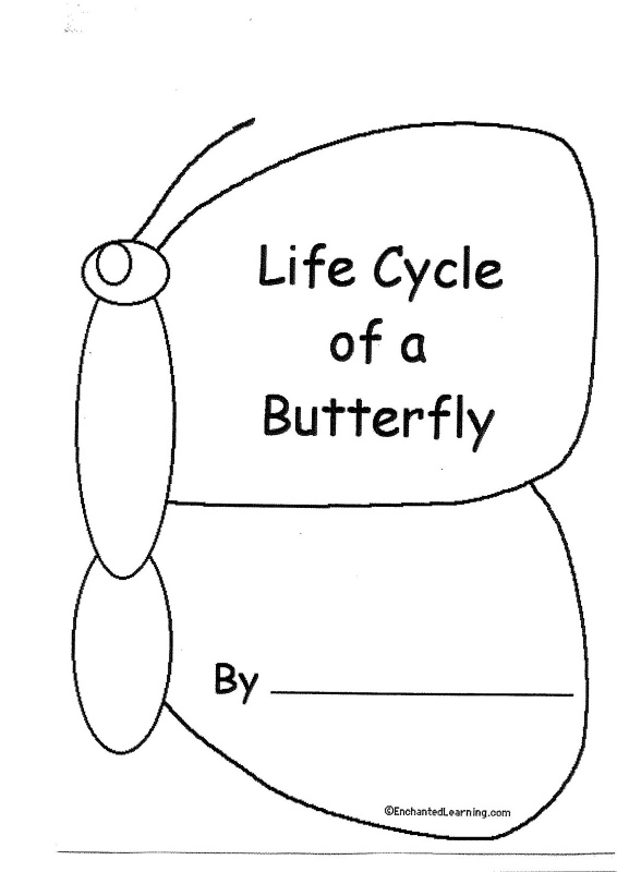 life-cycle-of-a-butterfly-book-learningenglish-esl
