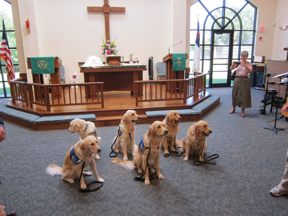 DogLove: Dogs in Church