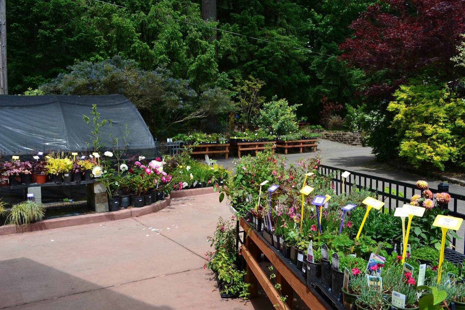 Linda Letters Sebright Gardens