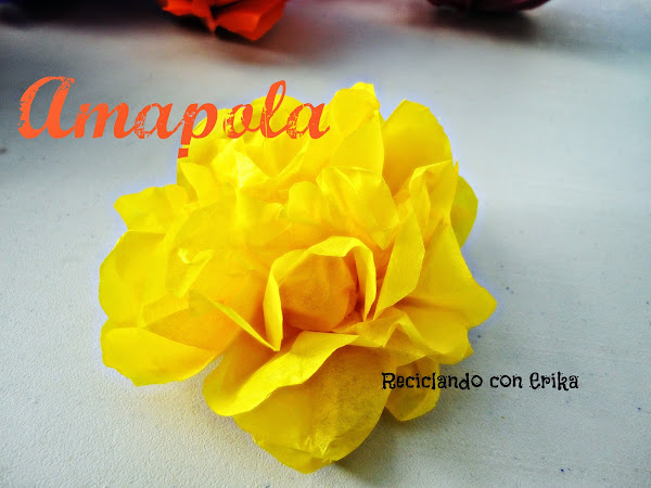 Imagen 0