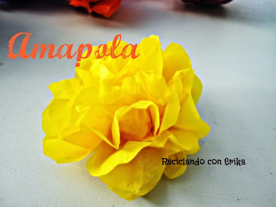 Imagen 0