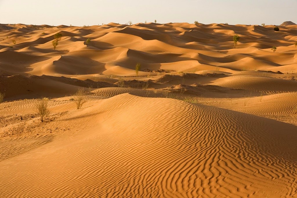 Geoblogger Deserto do SaaraÁfrica