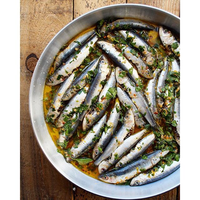 Sardine benefits for the body and health