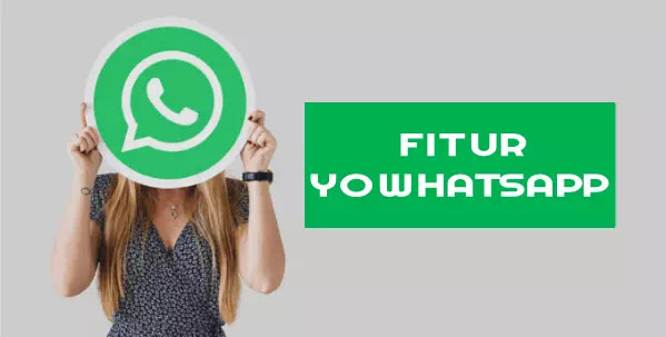 Download Yowhatsapp Apk Versi 8 70 Terbaru Brankaspedia Blog Tutorial Dan Tips