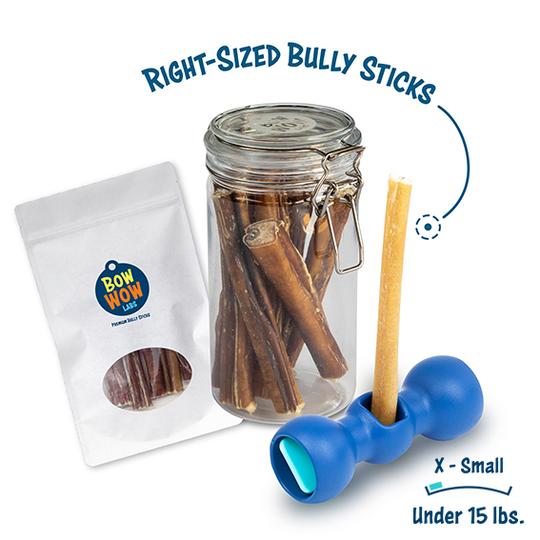 Inspired by Savannah Give the Gift of Safety to Your FourLegged