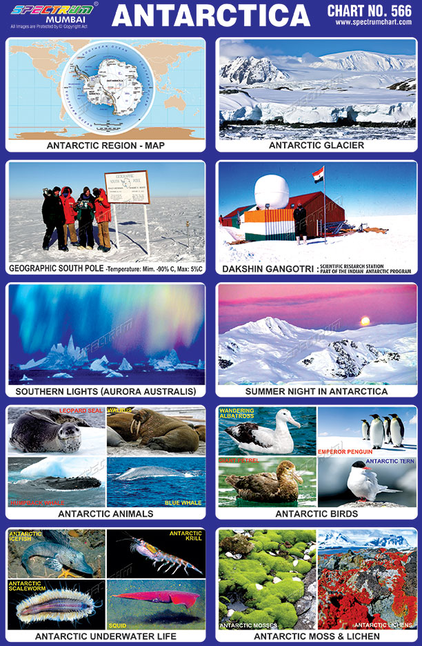 Spectrum Educational Charts Chart 566 Antarctica