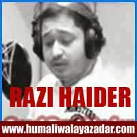 http://ishqehaider.blogspot.com/2013/11/razi-haider-nohay-2014.html