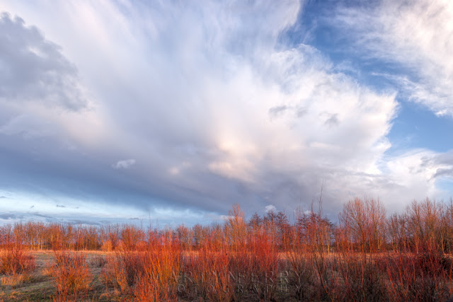 Ouse Fen Nature Reserve with red foliage and storm clouds
