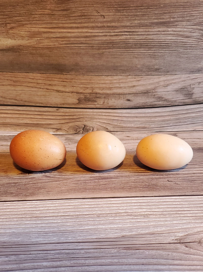 Why Does my Chicken Egg Look Weird? Fresh Eggs Daily® with Lisa Steele