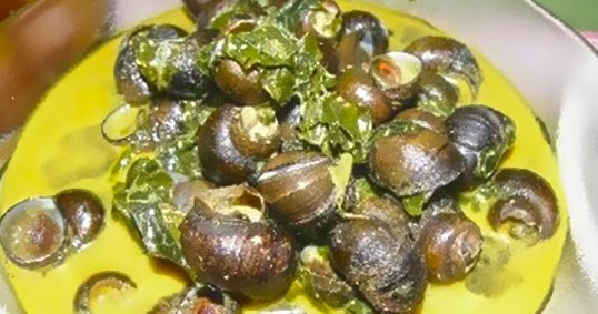 Blogger Tolib al'Ilm Hukum Makan Siput Gondang