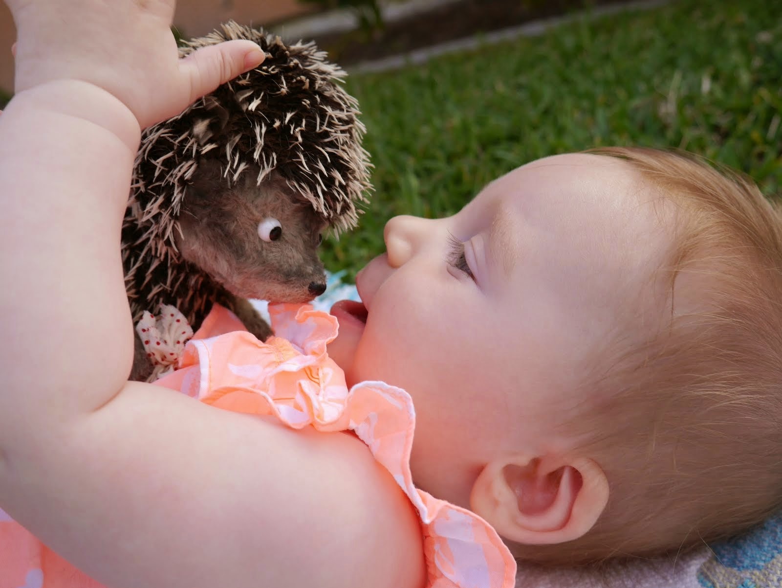 Картинки привет ежик привет