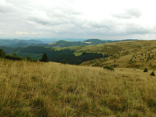 Połoniny z Pohrebtyny.