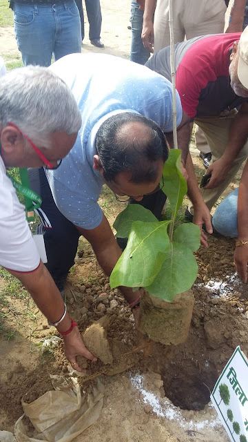 डीएम ने पौधरोपण अभियान चलाया