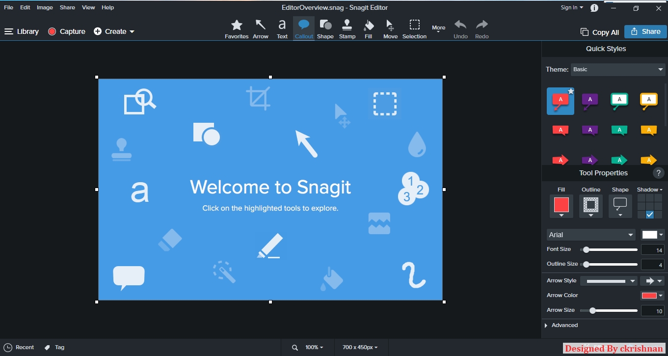 Snagit 9 free key lasemtd