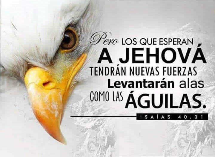 Aprendiendo la Sana Doctrina Isaías 4031 Aprendiendo la Sana Doctrina Isaías 4031