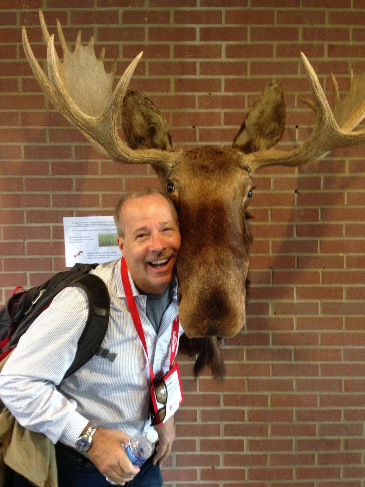 The Anchor: Profile: Steve Maczynski