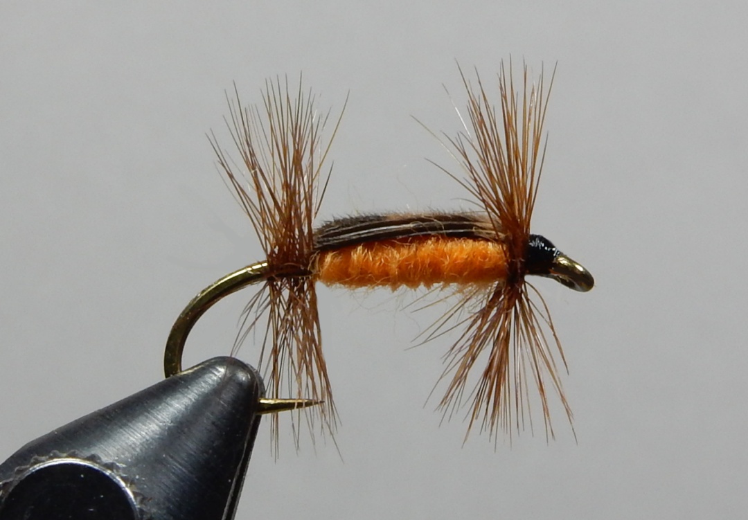 Flytying: New and Old: Renegade Shellback Nymph