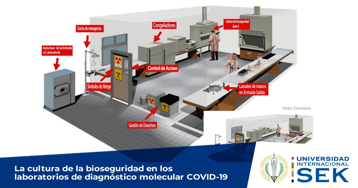 Blog Universidad Internacional SEK La cultura de la bioseguridad en Blog Universidad Internacional SEK La cultura de la bioseguridad en