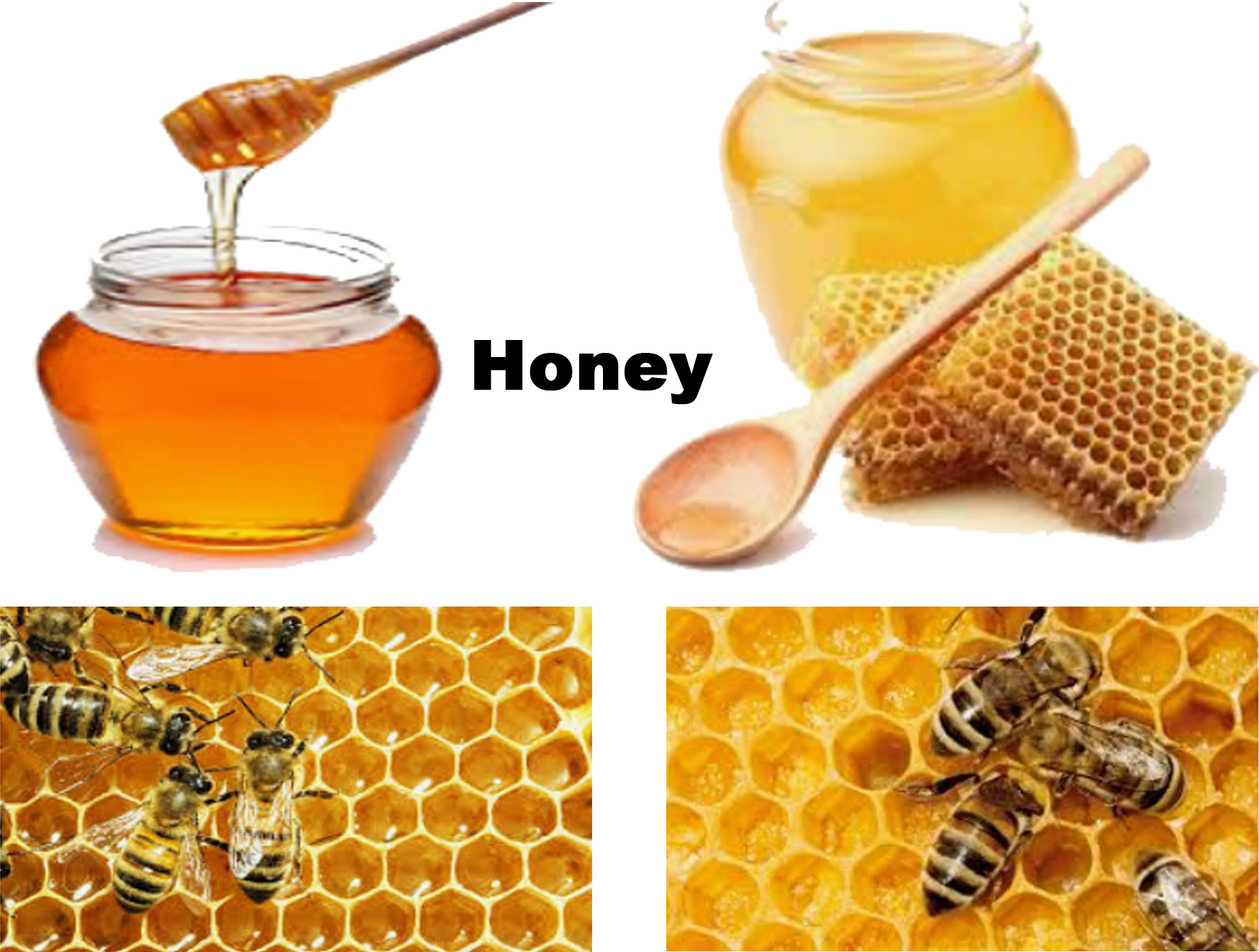 Honey The chemical ingredients of honey and It's amazing 33 benefits.