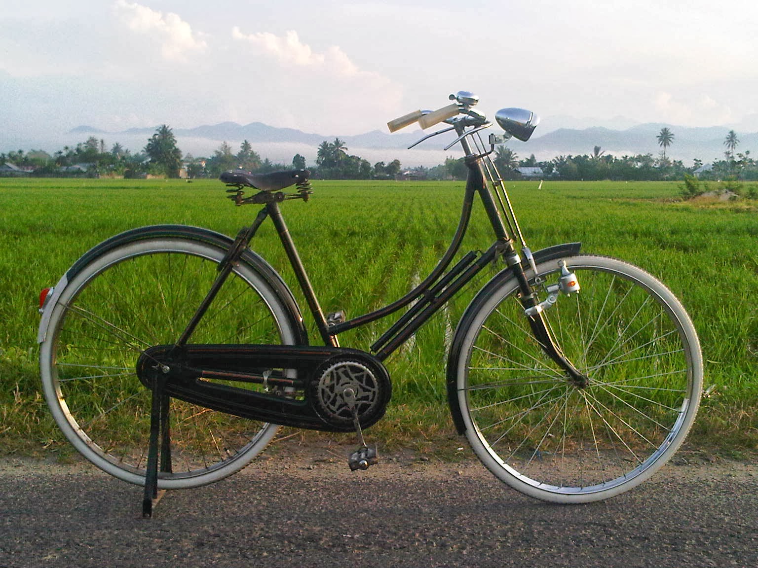 Tuha Harimaoduha: Onainö... Ami Li Moroi ba Gö: Raleigh Sepeda Onthel ...